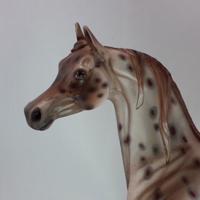 HARMONY FAITH LANE - OOAK Chestnut Appaloosa 12/14
