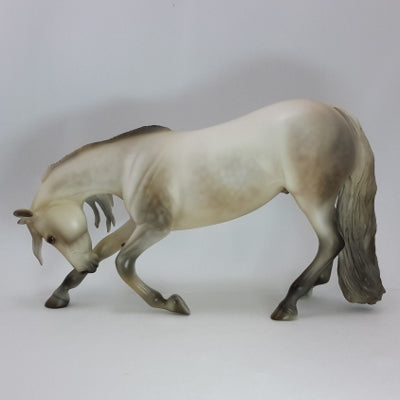 DOWNWARD FACING - OOAK Gray Dapple Performance Horse 12/14