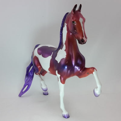 PURPLE POINSETTIA - OOAK Purple Pink Pinto Decorator Saddlebred 12/14