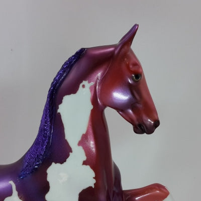 PURPLE POINSETTIA - OOAK Purple Pink Pinto Decorator Saddlebred 12/14