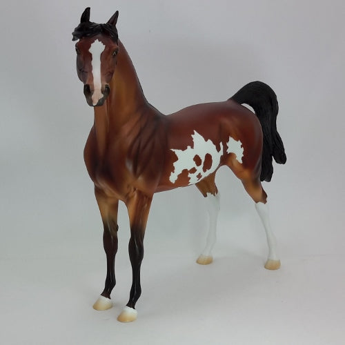 Peter Stone Arabian Horses 