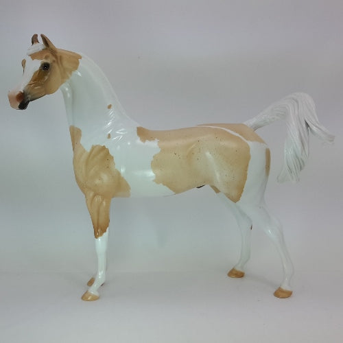 JOY OF THE SUN - OOAK Palomino Roan Arabian Pinto 12/14