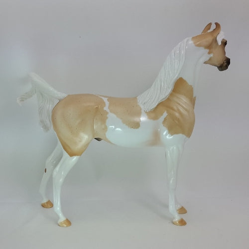 JOY OF THE SUN - OOAK Palomino Roan Arabian Pinto 12/14