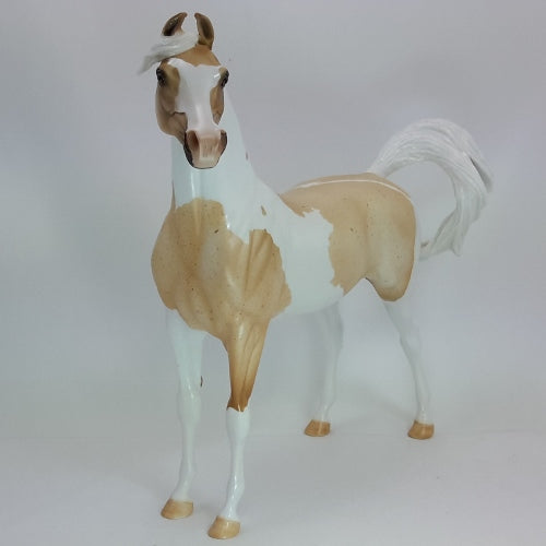 JOY OF THE SUN - OOAK Palomino Roan Arabian Pinto 12/14