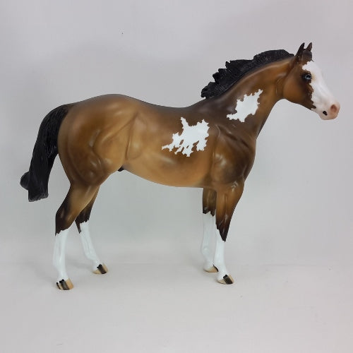 Caribar by Peter Stone Horses