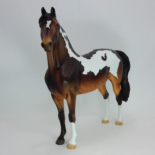 MOCHA CREAM - OOAK Dapple Bay Pinto Morgan 12/14