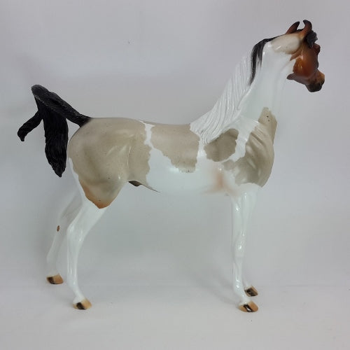 SEASON OF JOY - OOAK Bay Roan Pinto Arabian Model Horse - 12/14
