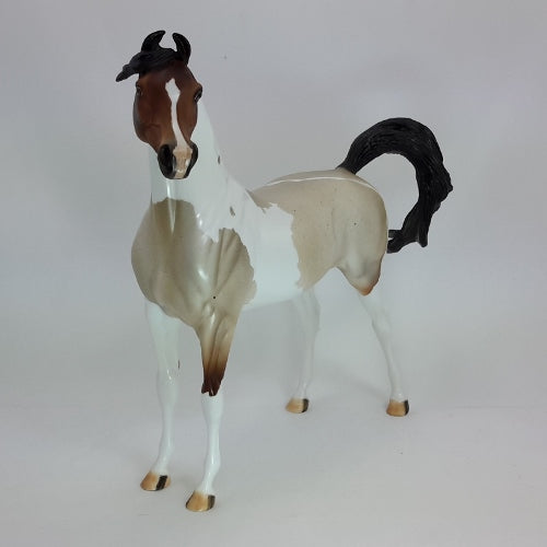SEASON OF JOY - OOAK Bay Roan Pinto Arabian Model Horse - 12/14