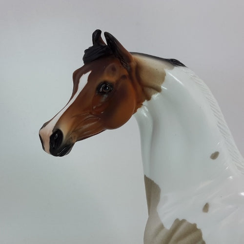 SEASON OF JOY - OOAK Bay Roan Pinto Arabian Model Horse - 12/14