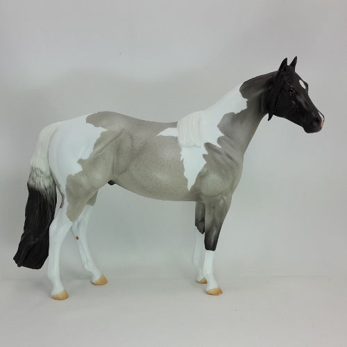 CIMERON 5 - OOAK Blue Roan Stock Horse 12/14