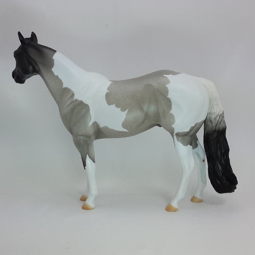 CIMERON 5 - OOAK Blue Roan Stock Horse 12/14