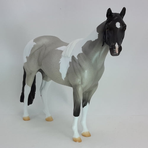 CIMERON 5 - OOAK Blue Roan Stock Horse 12/14