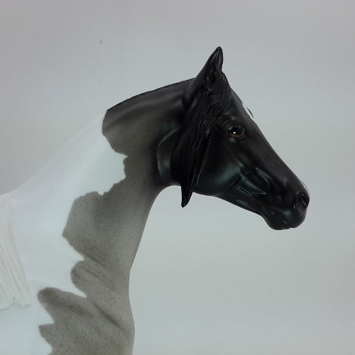 CIMERON 5 - OOAK Blue Roan Stock Horse 12/14