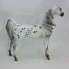 CHRISTMAS SPIRIT - OOAK Leopard Appaloosa Arabian 12/14