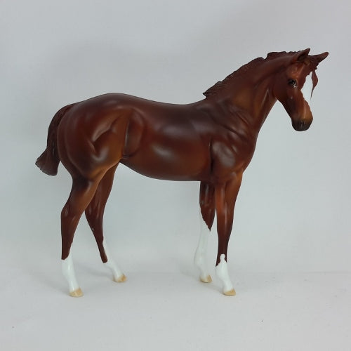 Kitty by Peter Stone Horses