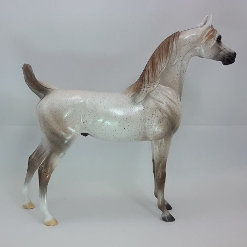 LOVE AT FIRST SIGHT - OOAK Fleabit Arabian Horse - 12/14