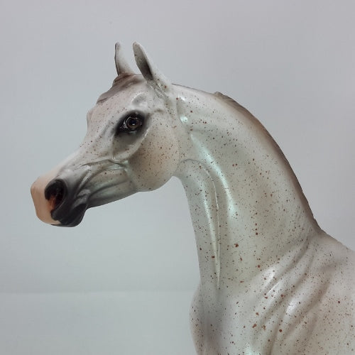 LOVE AT FIRST SIGHT - OOAK Fleabit Arabian Horse - 12/14