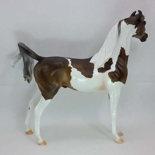 MY JOY - OOAK Dapple Chocolate Palomino Pinto Marwari 12/14
