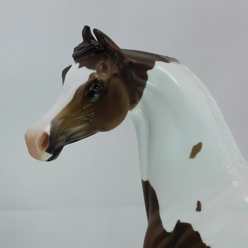 MY JOY - OOAK Dapple Chocolate Palomino Pinto Marwari 12/14