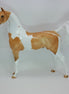 JOY OF A STAR - OOAK Dapple Palomino Pinto Marwari 12/14