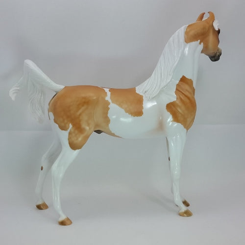JOY OF A STAR - OOAK Dapple Palomino Pinto Marwari 12/14