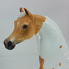 JOY OF A STAR - OOAK Dapple Palomino Pinto Marwari 12/14