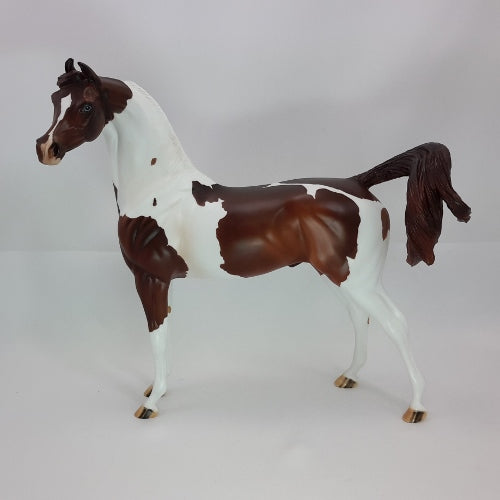 JOY AROUND THE WORLD - OOAK Dark Chestnut Pinto Marwari 12/14