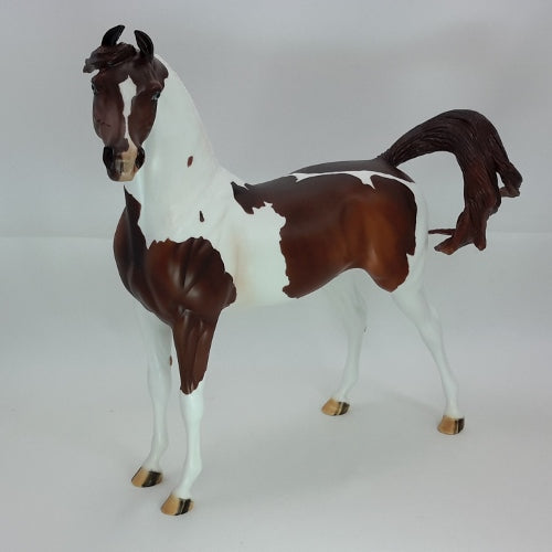 JOY AROUND THE WORLD - OOAK Dark Chestnut Pinto Marwari 12/14