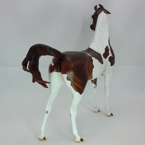 JOY AROUND THE WORLD - OOAK Dark Chestnut Pinto Marwari 12/14