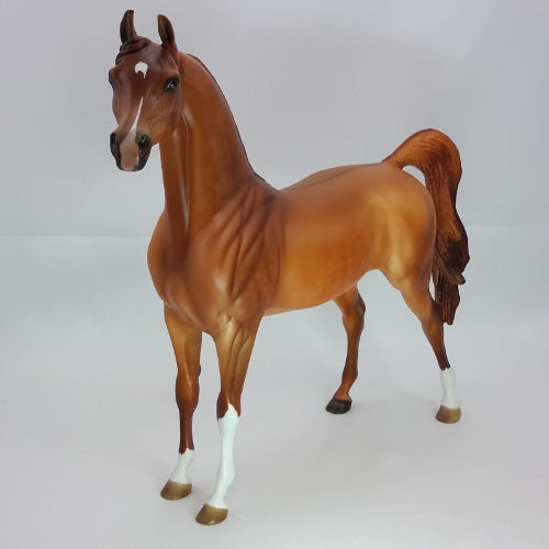 CHRISTMAS REGGAE - OOAK Dapple Red Dun Arabian 12/14