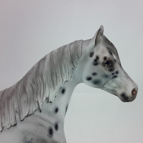 COUSIN EDDIE - OOAK Leopard Appaloosa Stock Horse Sculpture 12/14