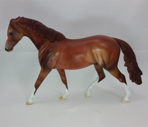 CRACKLING FIRE - OOAK Dapple Chestnut Pinned Ear Pony 12/14