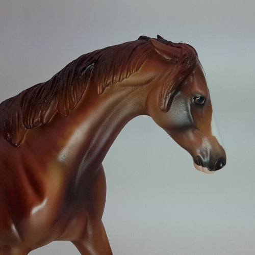 CRACKLING FIRE - OOAK Dapple Chestnut Pinned Ear Pony 12/14