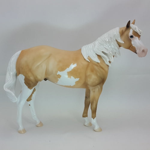 A CHRISTMAS LIGHT - Overo Stock Horse