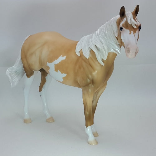 Stock Horse 