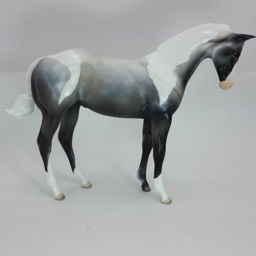 SIR FROSTY - OOAK Blue Roan Paint Colt Weanling 12/14