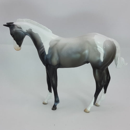 SIR FROSTY - OOAK Blue Roan Paint Colt Weanling 12/14