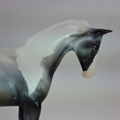 SIR FROSTY - OOAK Blue Roan Paint Colt Weanling 12/14