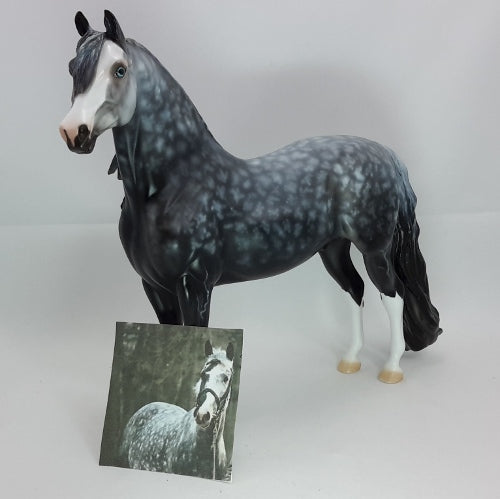 OOAK Morgan Horse