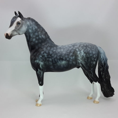 Stars Above by Peter Stone Horses