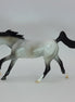 ASTRO DEL CIEL - OOAK Dapple Gray Pebbles 12/14