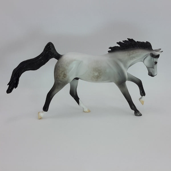 ASTRO DEL CIEL - OOAK Dapple Gray Pebbles 12/14