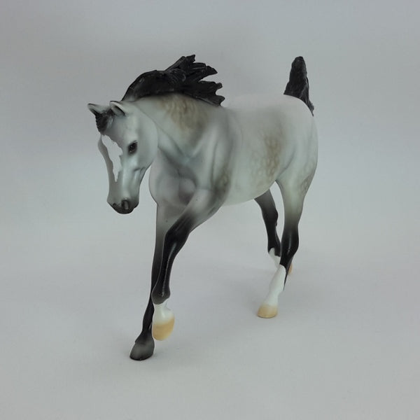ASTRO DEL CIEL - OOAK Dapple Gray Pebbles 12/14