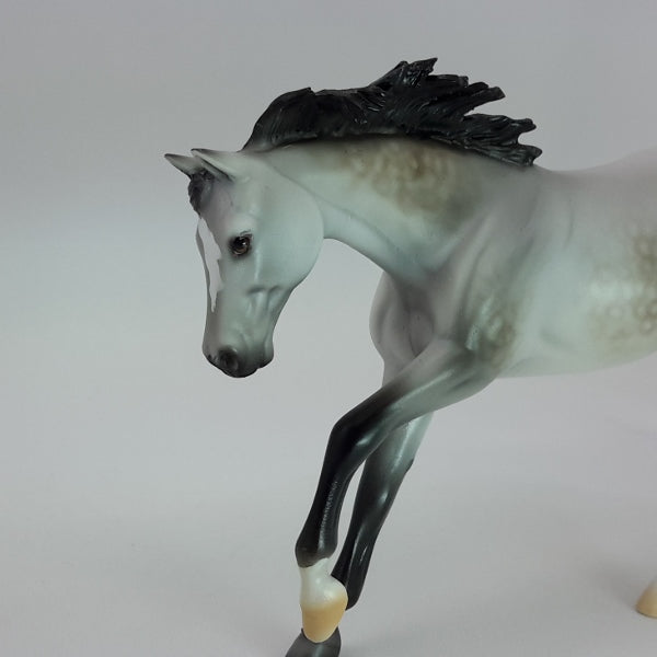 ASTRO DEL CIEL - OOAK Dapple Gray Pebbles 12/14