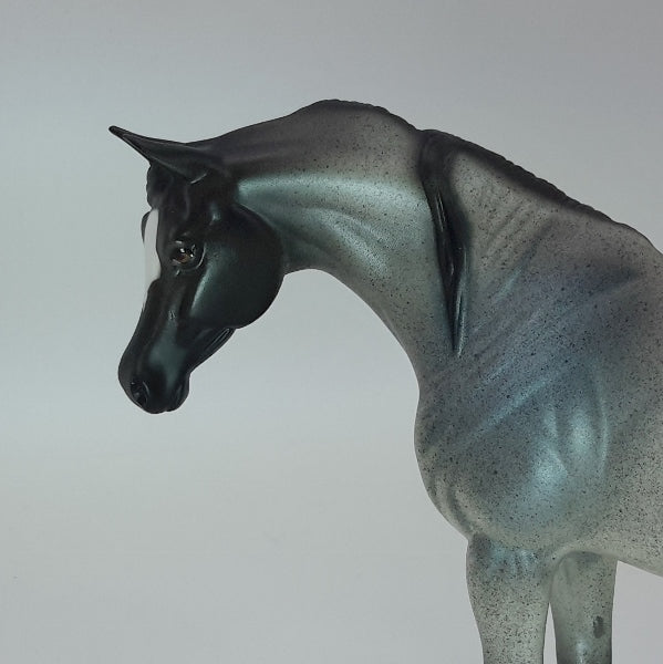 ASTRO DEL CIEL - OOAK Dapple Gray Pebbles 12/14