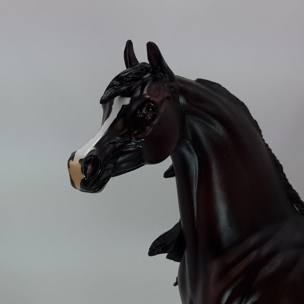 DOUCE NUIT - OOAK Black Arabian Mare 12/14