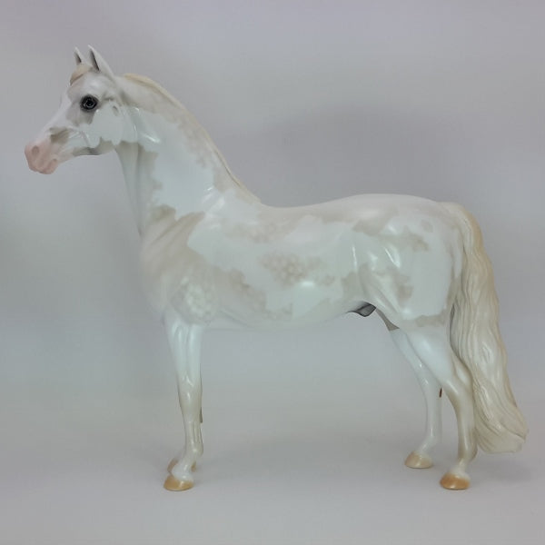 SANTA NOX - OOAK Pale Gray Pinto Morgan 12/14