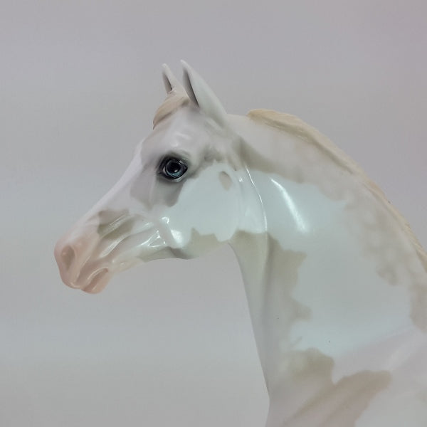 SANTA NOX - OOAK Pale Gray Pinto Morgan 12/14