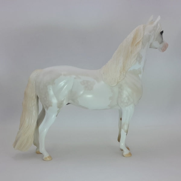 SANTA NOX - OOAK Pale Gray Pinto Morgan 12/14