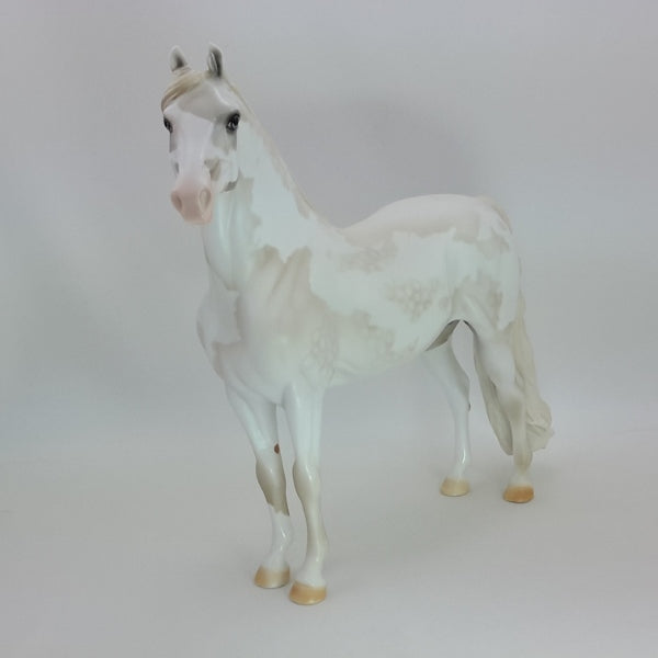 SANTA NOX - OOAK Pale Gray Pinto Morgan 12/14